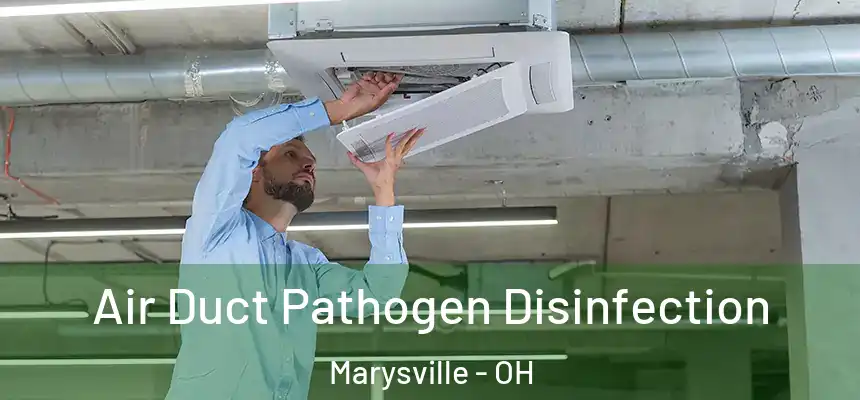 Air Duct Pathogen Disinfection Marysville - OH