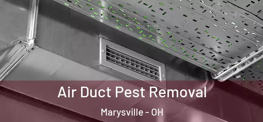 Air Duct Pest Removal Marysville - OH