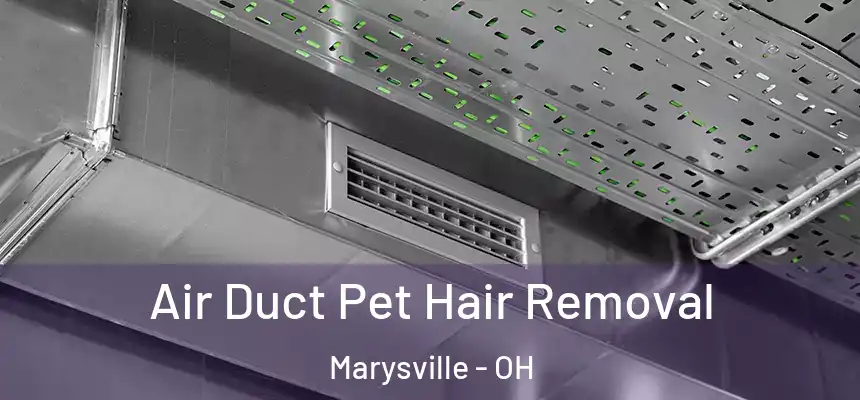  Air Duct Pet Hair Removal Marysville - OH