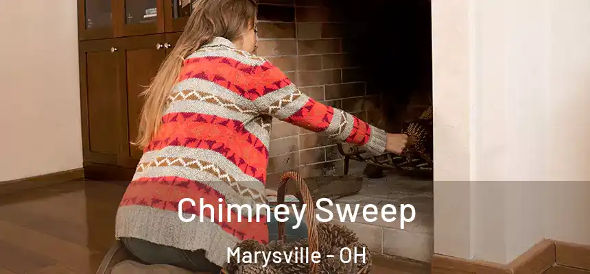  Chimney Sweep Marysville - OH
