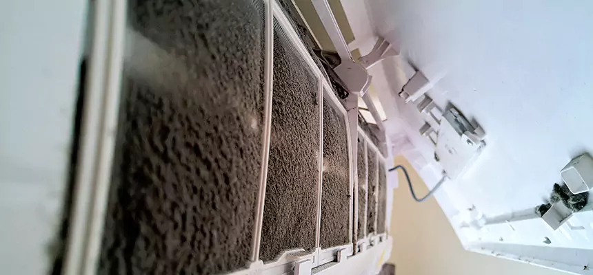 Preventive Air Duct Bacteria Removal in Marysville