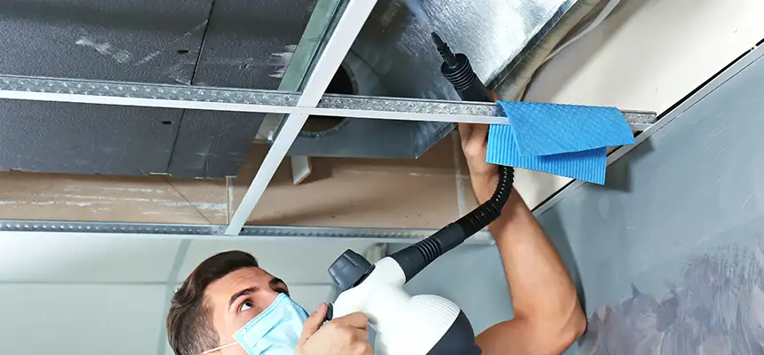 Our Air Duct Rodent Removal Services in Marysville, OH