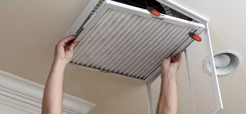 Our Insect Removal from Air Ducts Services in Marysville, OH