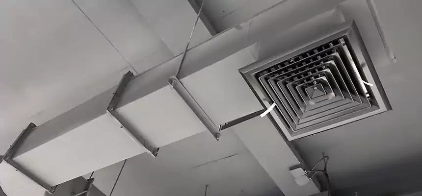 Our Pest Removal From Ducts Services in Marysville, OH