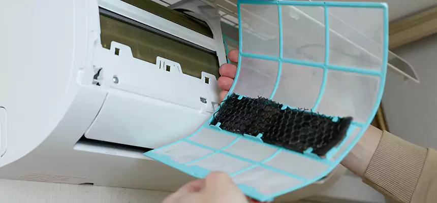 Gentle Ductwork Odor-Control Pet Dander Duct Cleaning in Marysville, OH