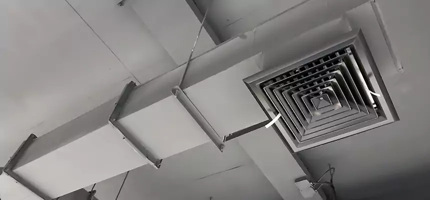 Our Rodent Droppings In Vents Services in Marysville, OH