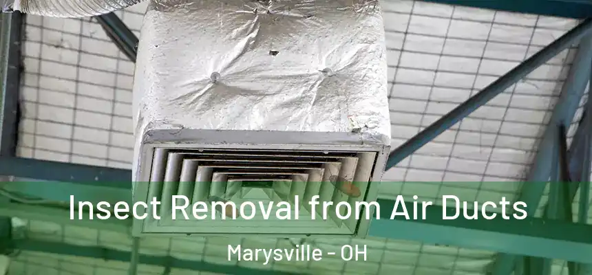  Insect Removal from Air Ducts Marysville - OH