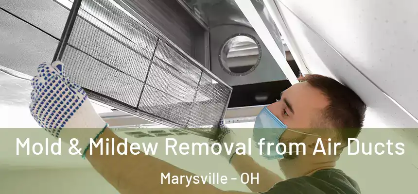  Mold & Mildew Removal from Air Ducts Marysville - OH