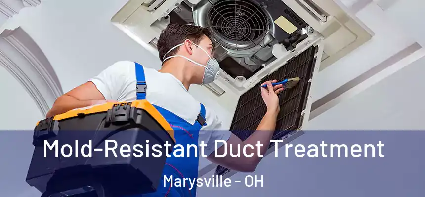  Mold-Resistant Duct Treatment Marysville - OH