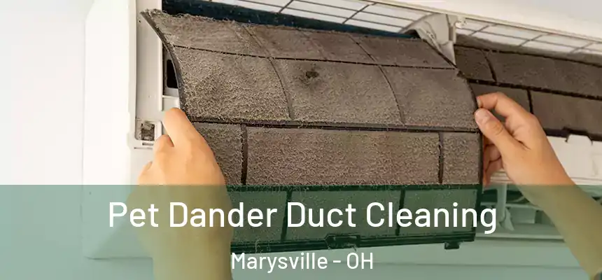Pet Dander Duct Cleaning Marysville - OH