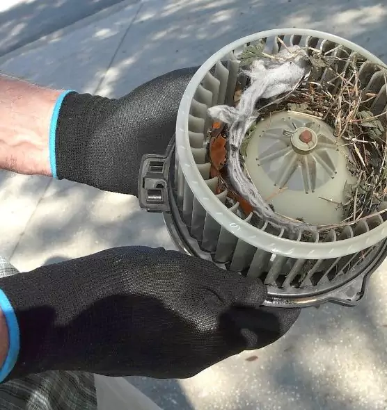 About Air Duct Rat Removal in Marysville, OH