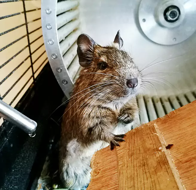 Why Homeowners & Businesses Trust Us Marysville, OH